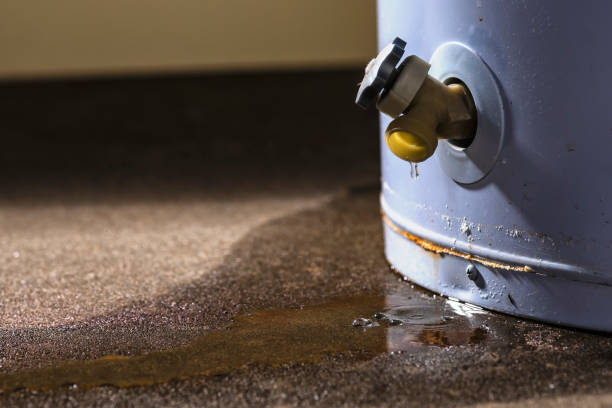 Best Flood restoration services  in Pontiac, IL