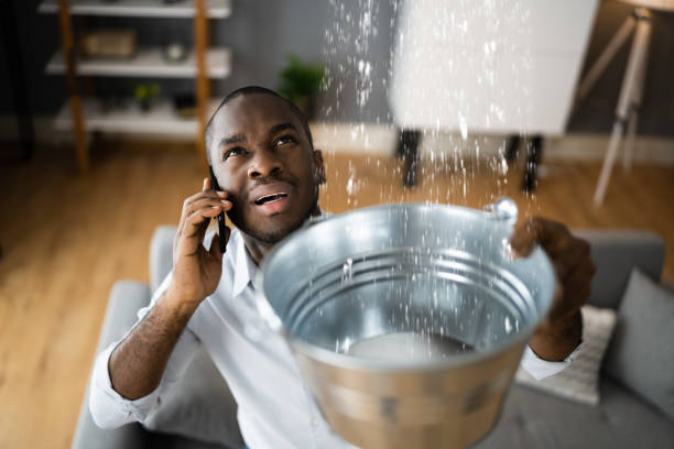 Best Fire Damage Restoration  in Pontiac, IL