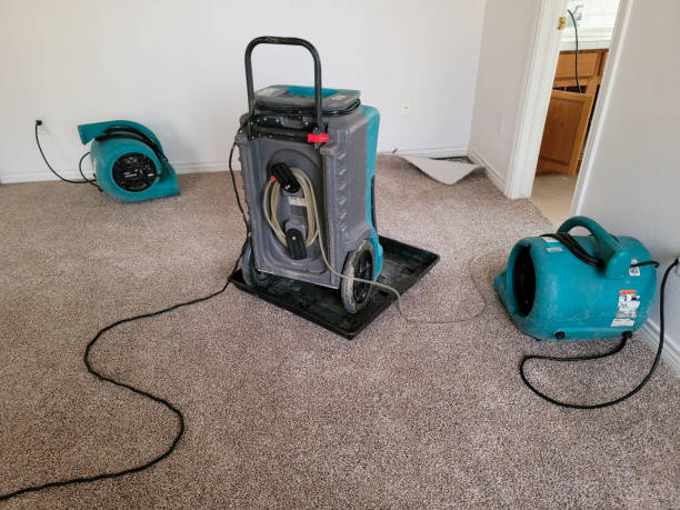 Best Water damage repair service  in Pontiac, IL