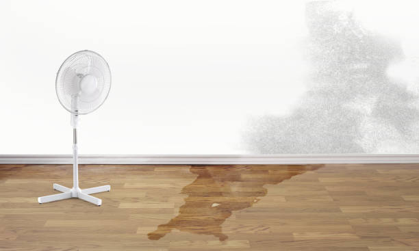 Best Commercial water damage restoration  in Pontiac, IL