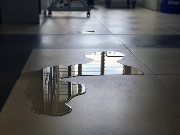 Best Water damage mitigation services  in Pontiac, IL