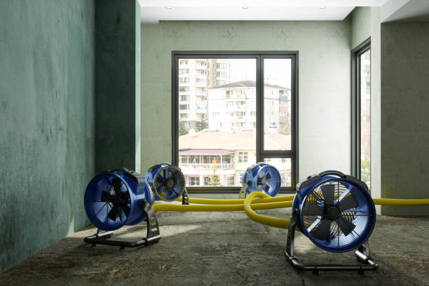 Best Water damage contractors near me  in Pontiac, IL