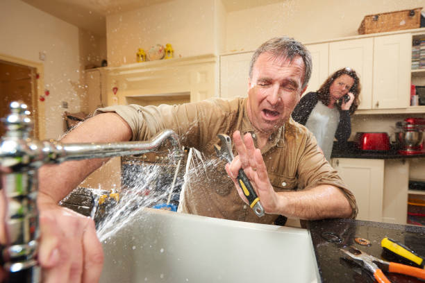 Best Basement water damage restoration  in Pontiac, IL